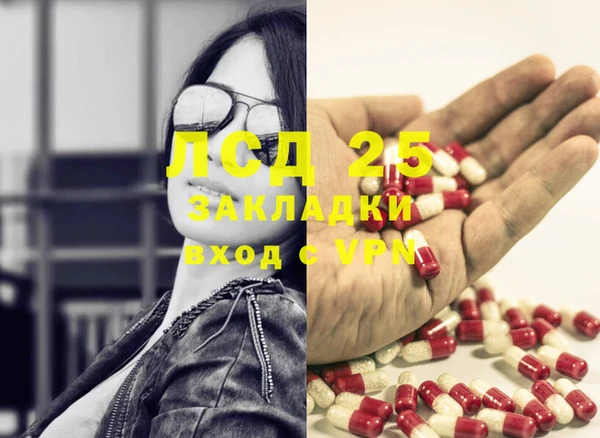 дживик Баксан