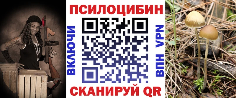 где продают наркотики Верхний Уфалей Псилоцибиновые грибы Magic Shrooms